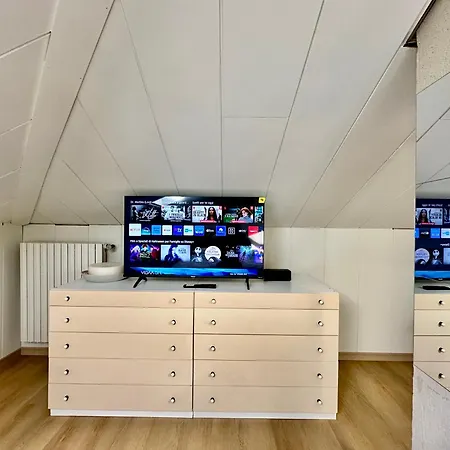 Apartament Mansarda Moderna A Turyn